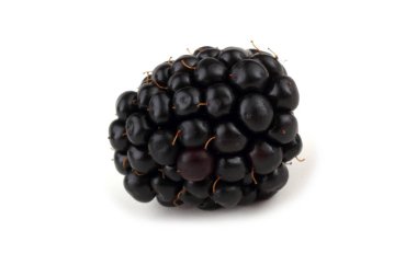 Taze böğürtlen hasadını kapat