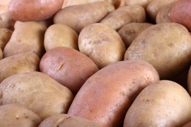 Patates hasadını kapat.