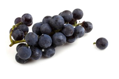 Şarap çeşidi, kırmızı üzüm için.