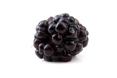 Taze böğürtlen. Kapat..