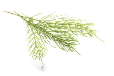 Beyaz arkaplanda at kuyruğu izole edildi