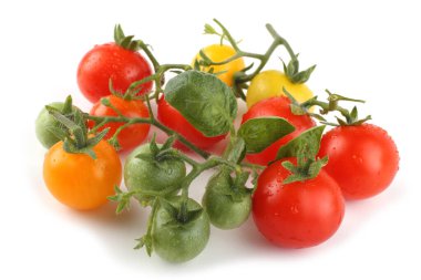 Beyaz arka planda izole edilmiş taze domatesler