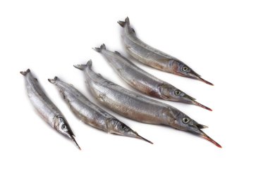 Garfish beyazda izole edilmiş.