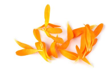 Takvim yaprakları beyaza izole edilmiş