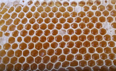 taze ve lezzetli bal peteği