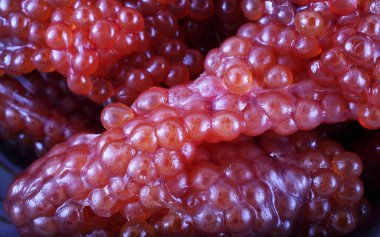 Taze kırmızı havyar arkaplanı