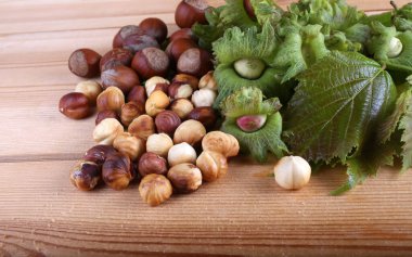 Fındıklar masada. Ülke biçimi