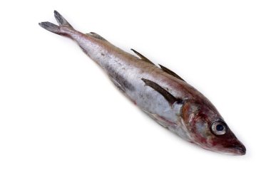 Beyaz arkaplanda Pollock