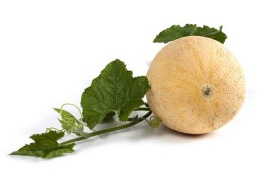 Karpuz ve yapraklar beyaz üzerine izole