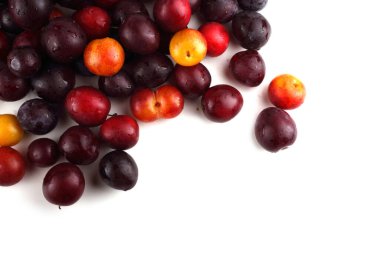 Olgun taze erikler. görünümü kapat