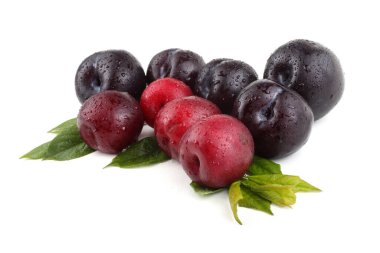 Olgun taze erikler. görünümü kapat