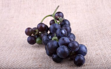 Poşetleme üstüne üzüm. Şarap çeşidi.