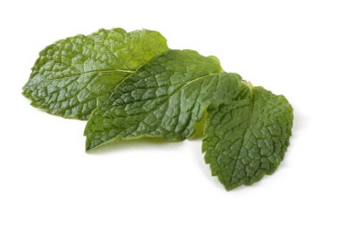 Beyazda izole edilmiş nane