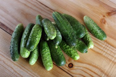 Salatalıklar masaya. Ülke biçimi