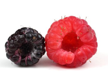 Black and red raspberries isolated on white background clipart