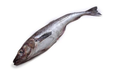 Beyaz arkaplanda Pollock