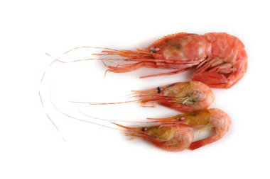 Büyük ve küçük karidesler