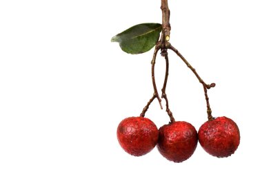 Lychee meyvesi. Uzak Doğu lezzeti. Meyve Çin 'de çok popülerdir..