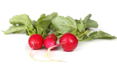 Beyaz arkaplanda taze turp izole edildi