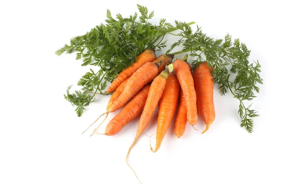 Zanahorias Hojas Aisladas Blanco —  Fotos de Stock