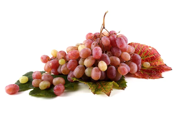 Пучок Свіжого Винограду Осінньому Листі Ізольовано Білому — стокове фото