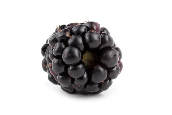 白色背景的黑莓 — 图库照片