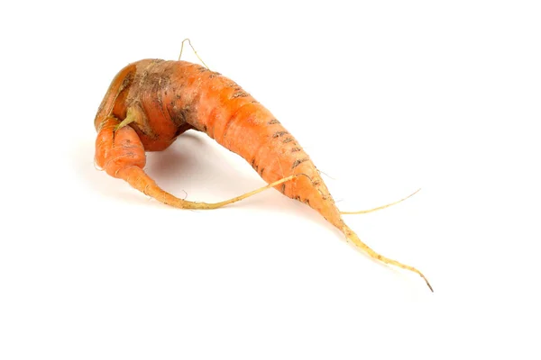 Unusual Shape Carrots Isolated White — Stock Photo, Image