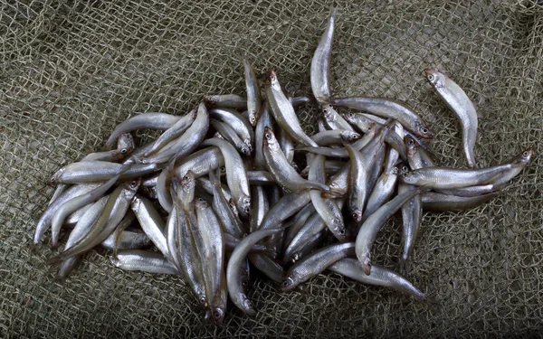 Red Pesca Con Pececitos —  Fotos de Stock