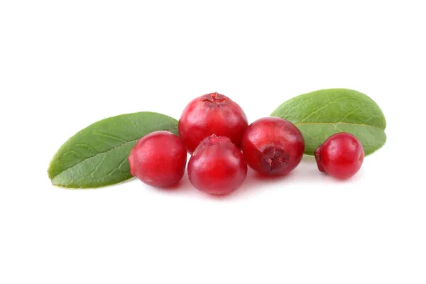 Cranberry Pada Latar Belakang Putih — Stok Foto