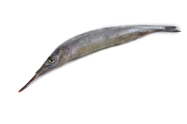 Garfish Isoliert Auf Weiß — Stockfoto