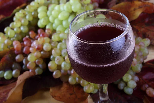 Вино Виноград Столі — стокове фото