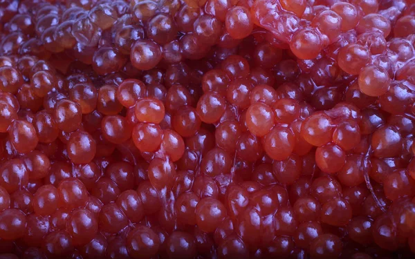 Latar Belakang Kaviar Merah Yang Belum Dimasak — Stok Foto