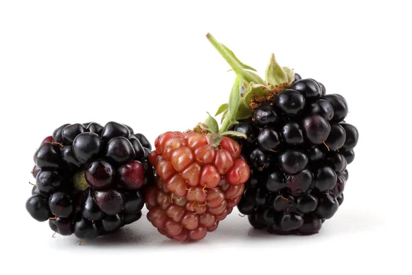 Brombeeren Auf Weißem Hintergrund — Stockfoto