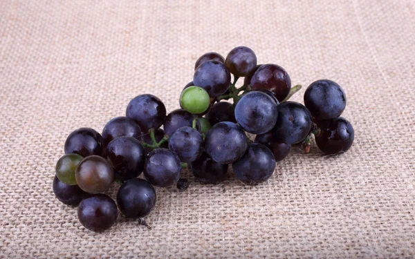 Grape Bagging Wine Grape Variety — Stock Photo, Image