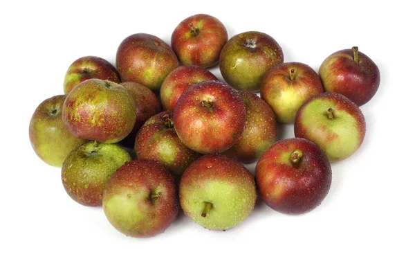 Pommes Biologiques Isolées Sur Blanc — Photo