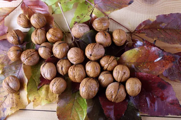 Nueces Hojas Otoño Mesa —  Fotos de Stock