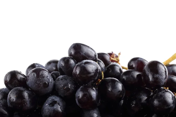 Черный Виноград Выделенный Белом — стоковое фото