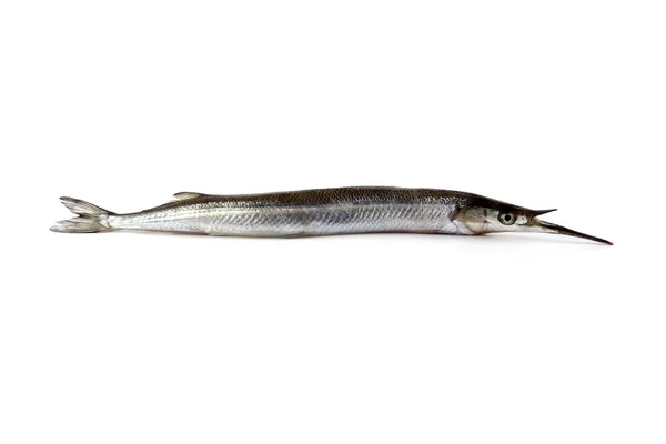 Vitfisk Isolerad Vitt — Stockfoto