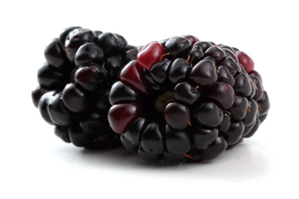 Blackberries Fundal Alb — Fotografie, imagine de stoc