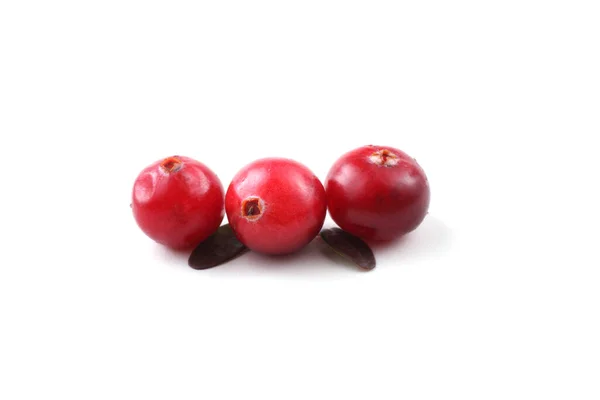 Close Cranberries Azedas Frescas — Fotografia de Stock