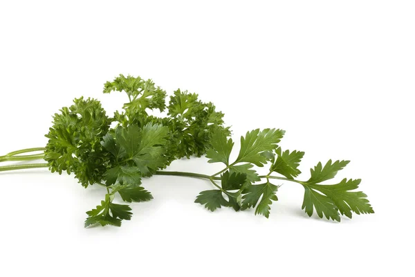 Bunch Parsley Isolated White Background — Stock Photo, Image