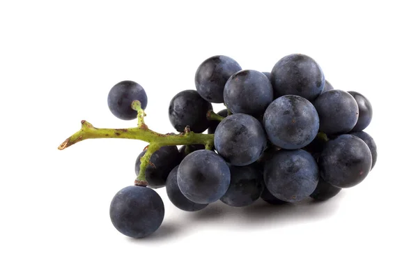 Wine Variety Red Grape — Stock Photo, Image