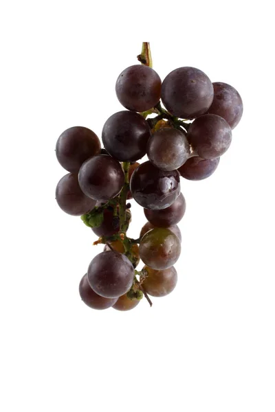 赤ブドウ用のワイン品種 — ストック写真