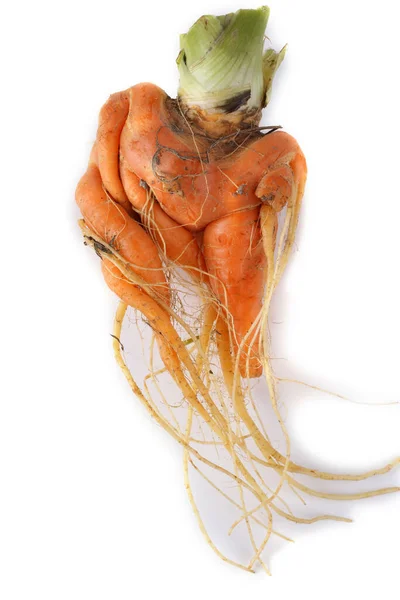 Funny Ugly Carrot Isolated White — Stock Photo, Image