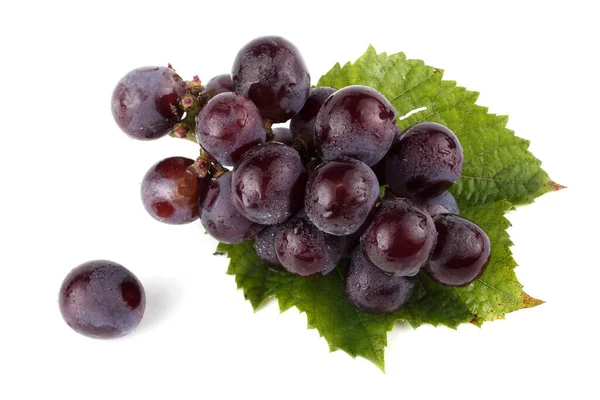 Druiven Herfstblad — Stockfoto