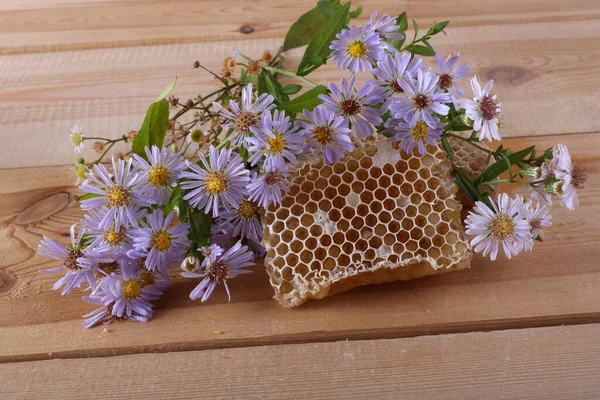 Frische Und Köstliche Bienenwaben — Stockfoto