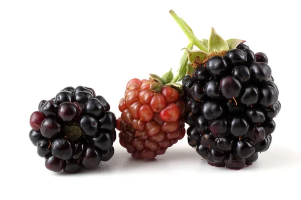 Blackberries Белом Фоне — стоковое фото