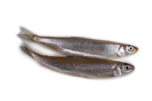 아시아 냄새나는 물고기를 — 스톡 사진