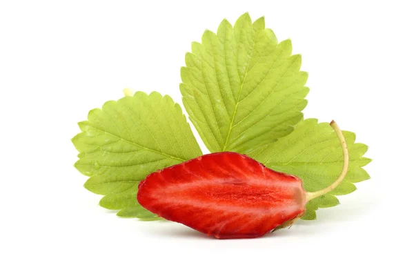 Fresas Aisladas Sobre Fondo Blanco — Foto de Stock