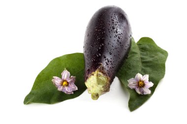 Olgun ve taze patlıcanlara yakın.